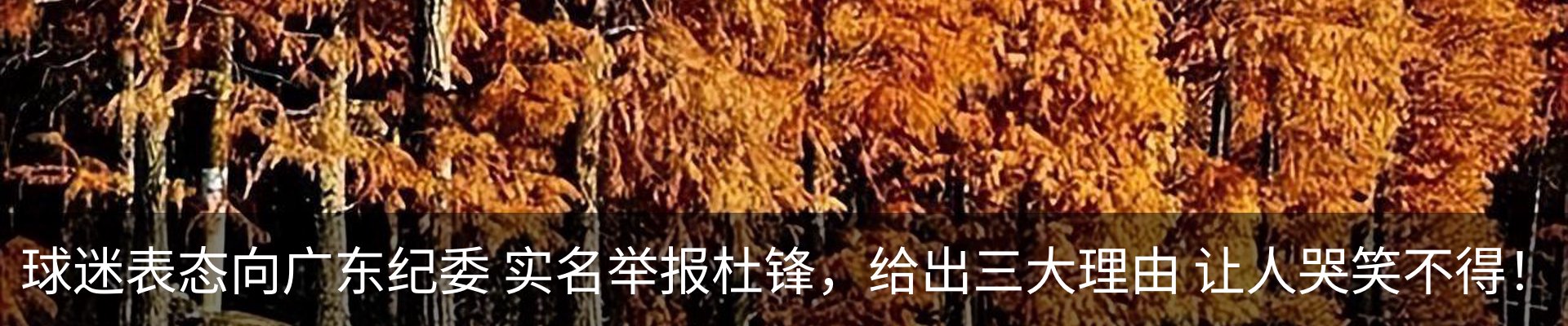 资讯中心